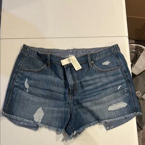 Aerie Blue Jean Shorts with Distressed Cut-Off Style